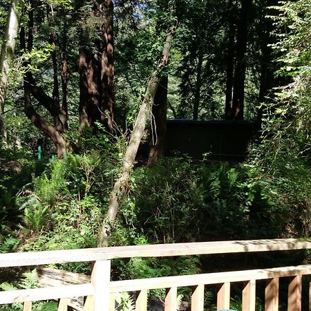 Emerald Forest Cabins Trinidad Bilik gambar