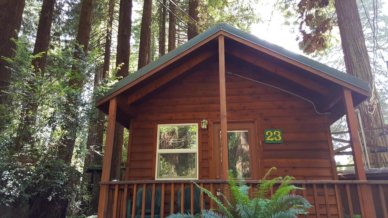 Emerald Forest Cabins Trinidad Luaran gambar