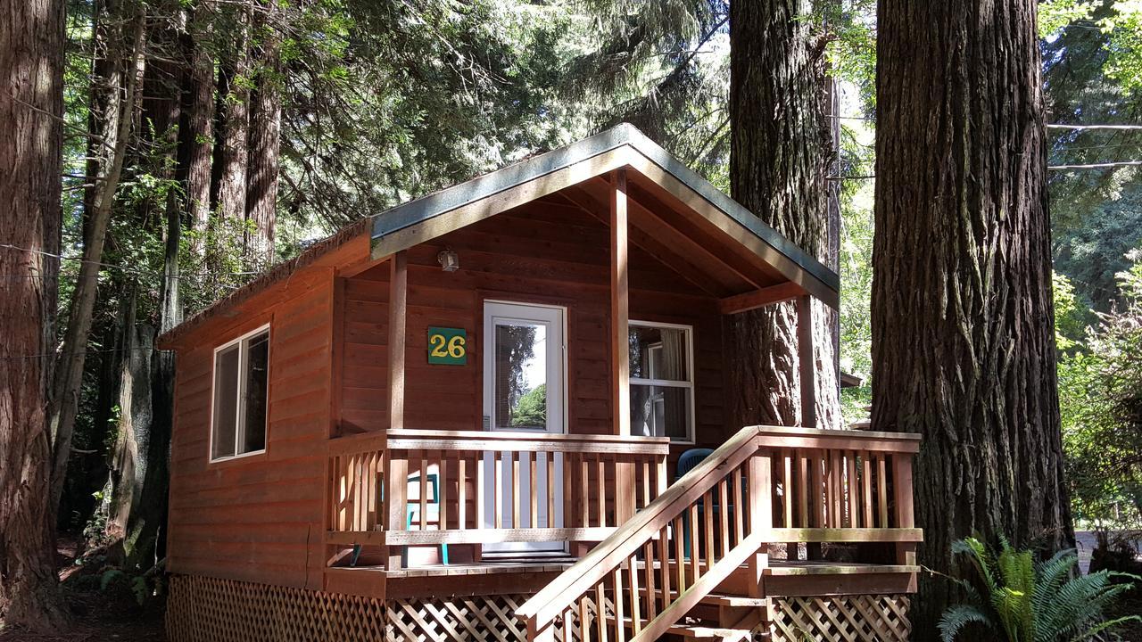 Emerald Forest Cabins Trinidad Luaran gambar