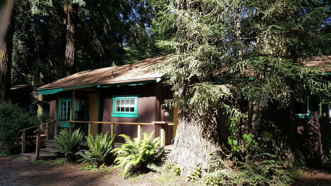 Emerald Forest Cabins Trinidad Luaran gambar