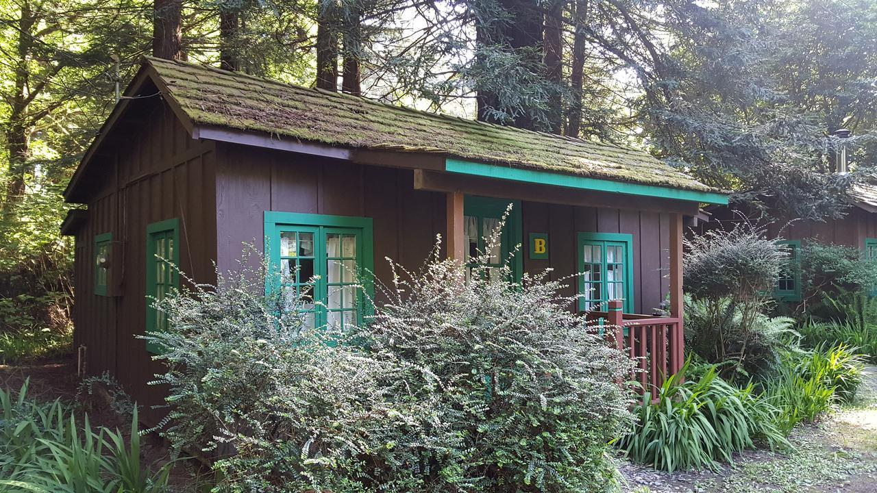 Emerald Forest Cabins Trinidad Luaran gambar