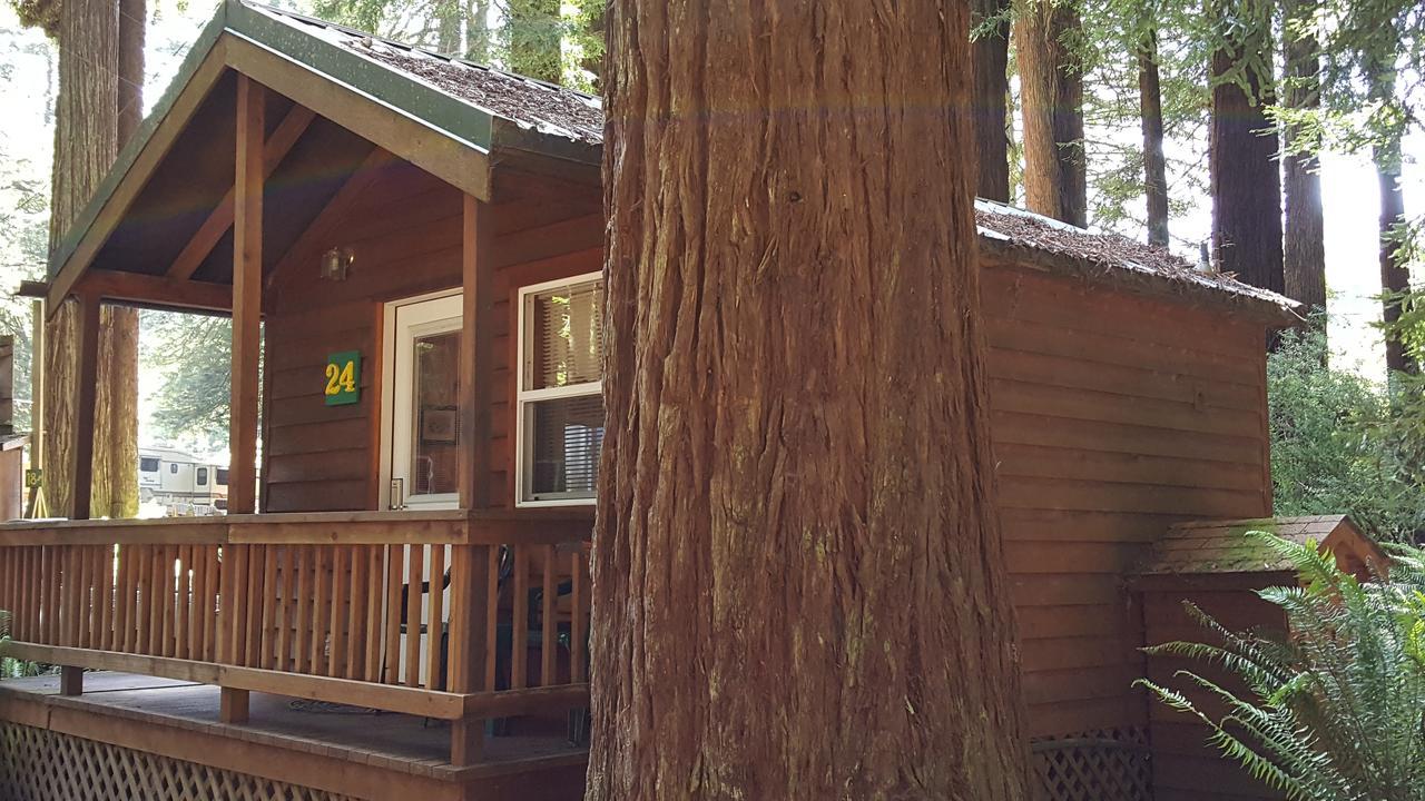 Emerald Forest Cabins Trinidad Luaran gambar