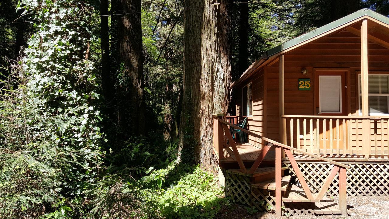 Emerald Forest Cabins Trinidad Luaran gambar