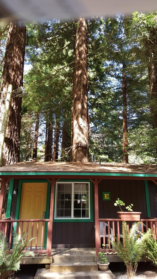 Emerald Forest Cabins Trinidad Bilik gambar