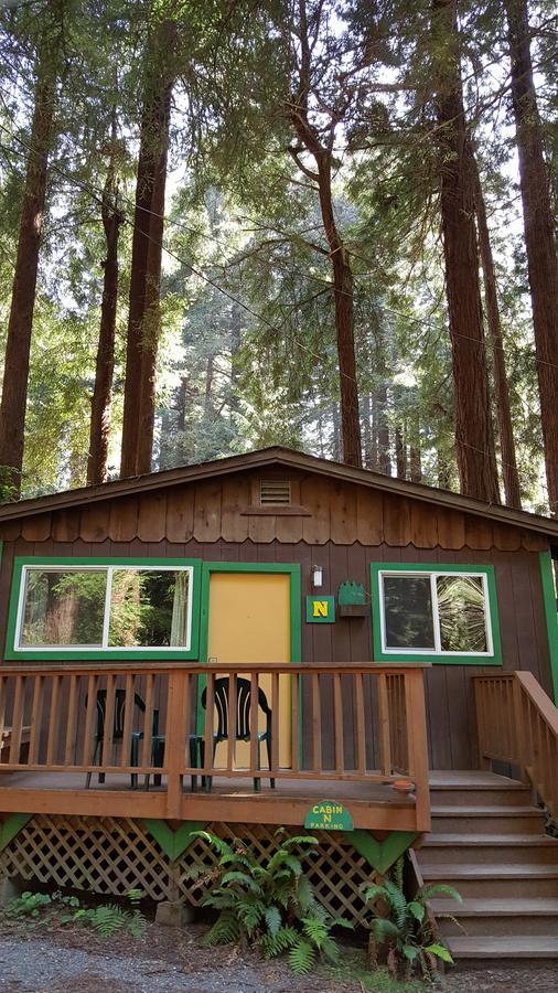 Emerald Forest Cabins Trinidad Bilik gambar