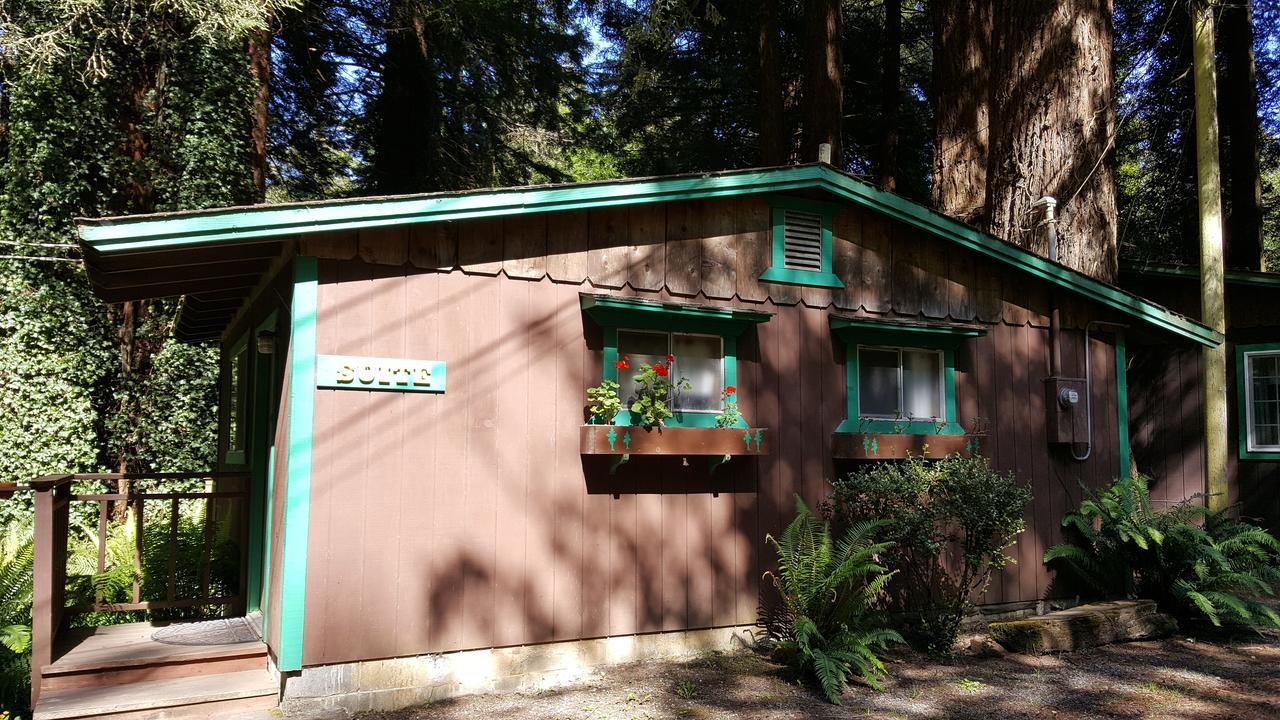 Emerald Forest Cabins Trinidad Bilik gambar
