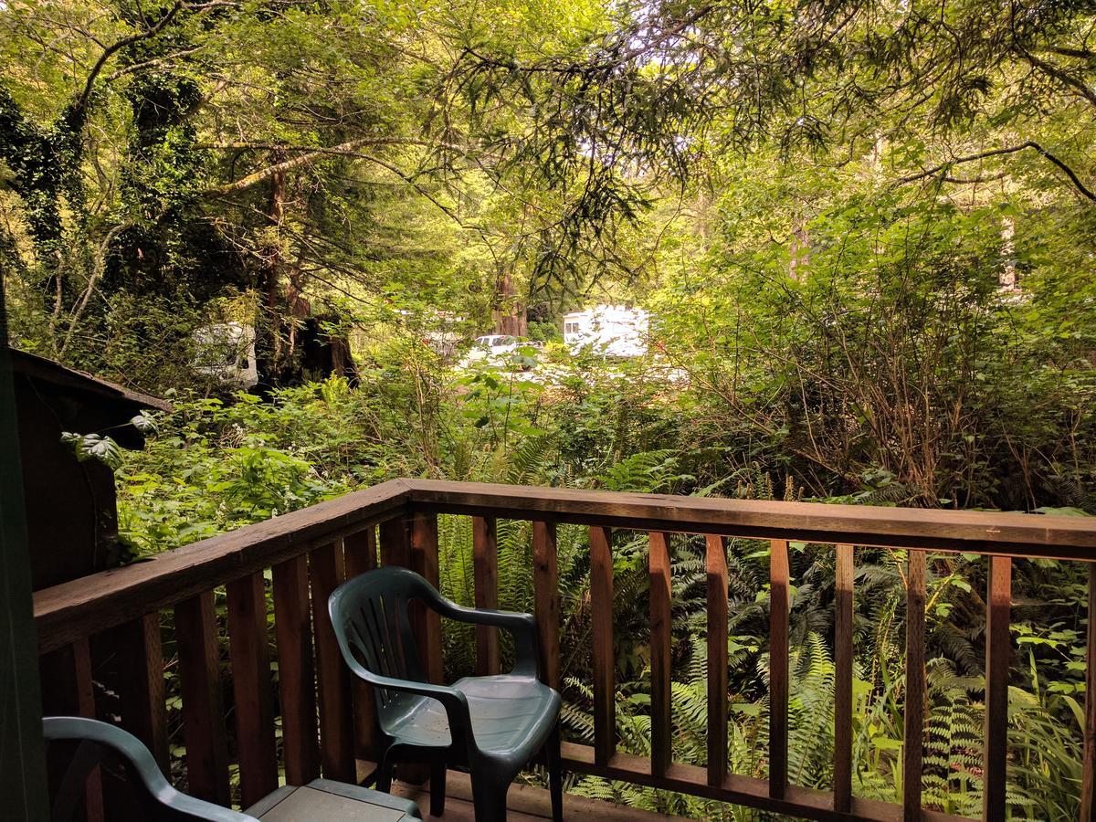 Emerald Forest Cabins Trinidad Bilik gambar