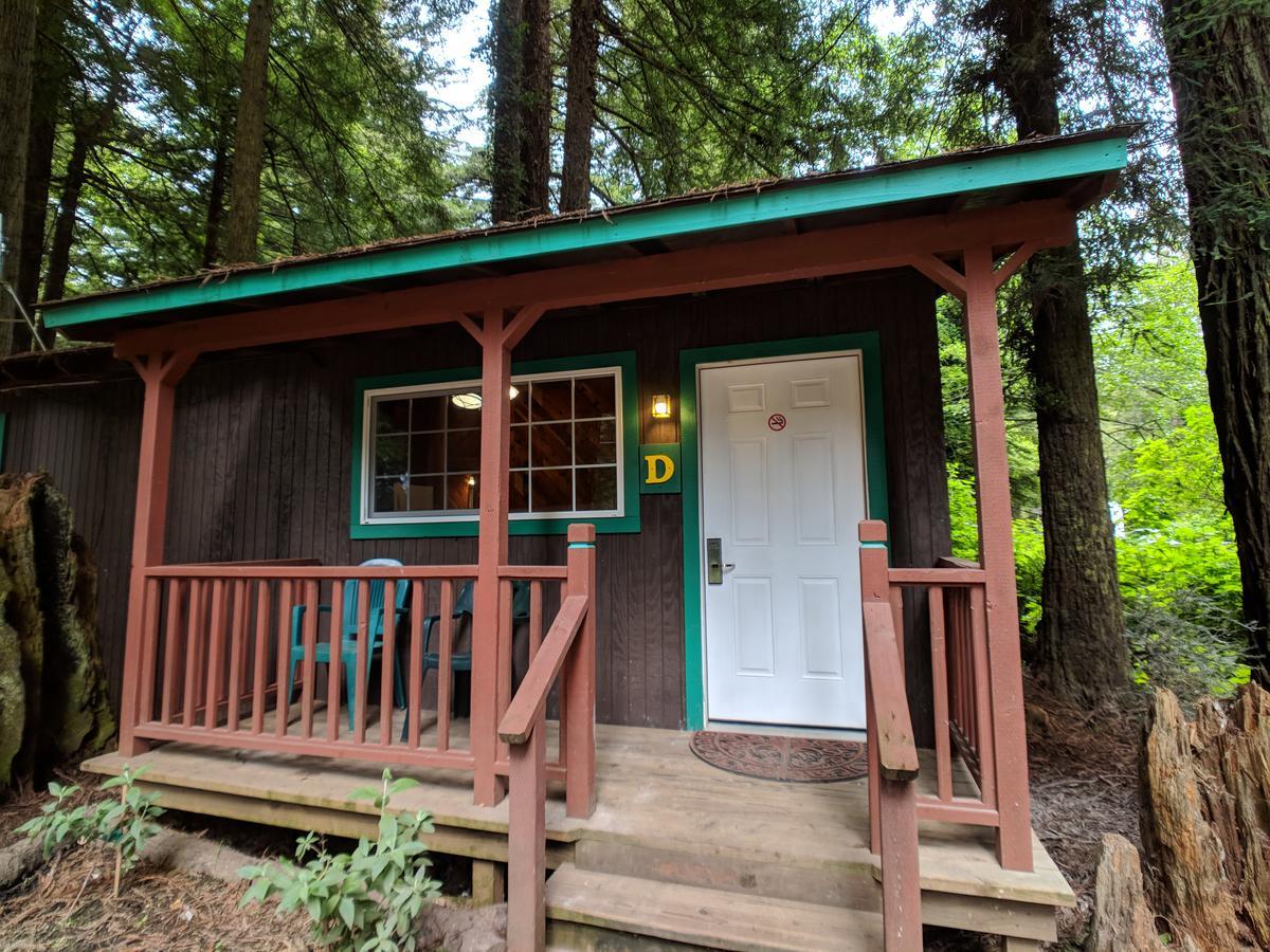 Emerald Forest Cabins Trinidad Luaran gambar