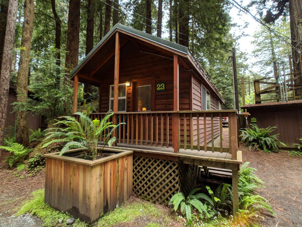 Emerald Forest Cabins Trinidad Luaran gambar