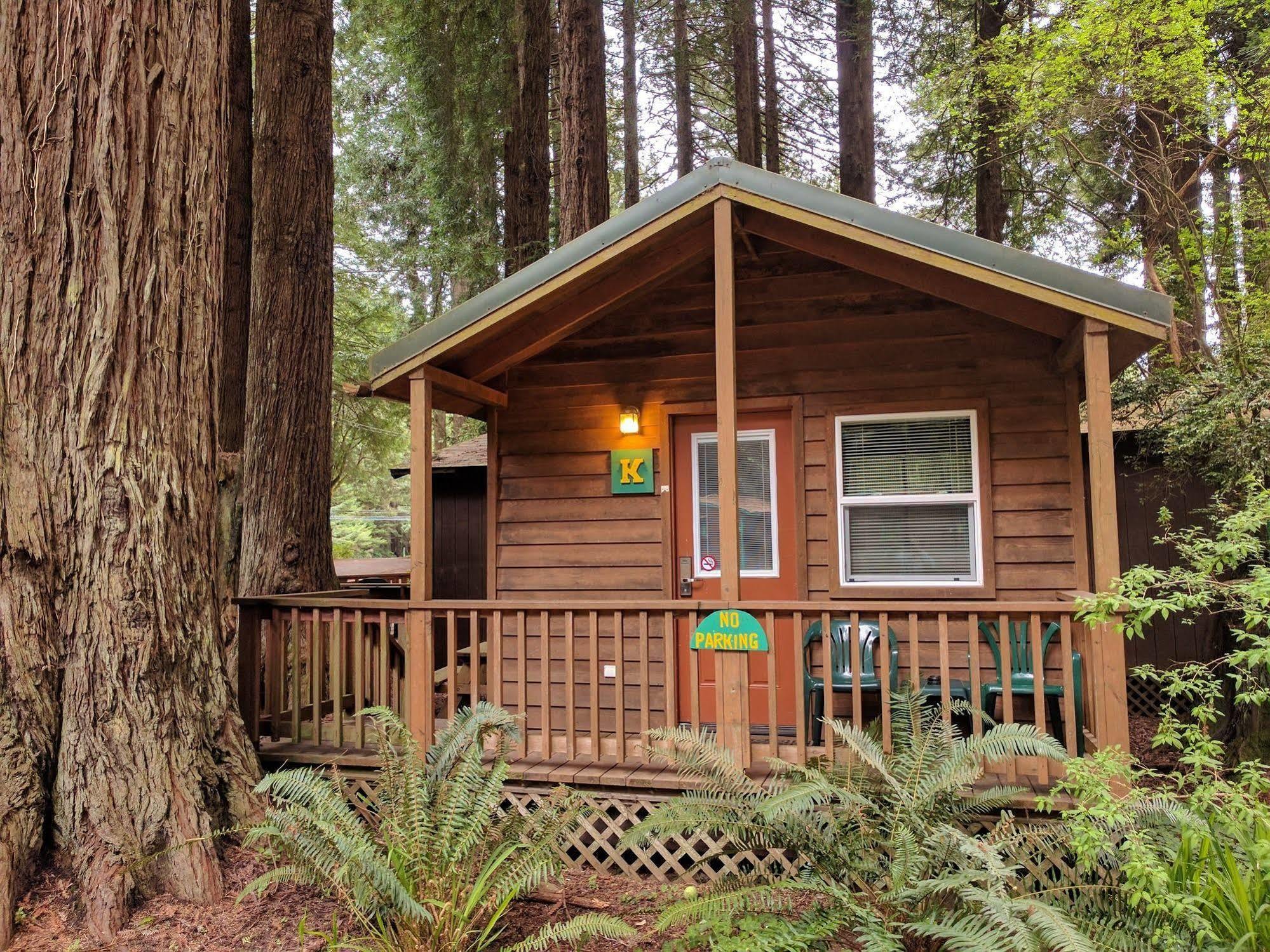 Emerald Forest Cabins Trinidad Luaran gambar